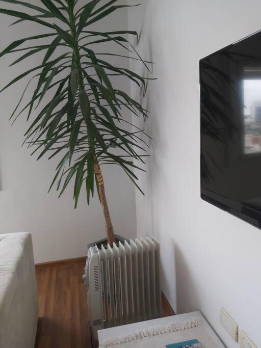 Imperdible Vista Y Ubicacion En Punta Del Apartment *